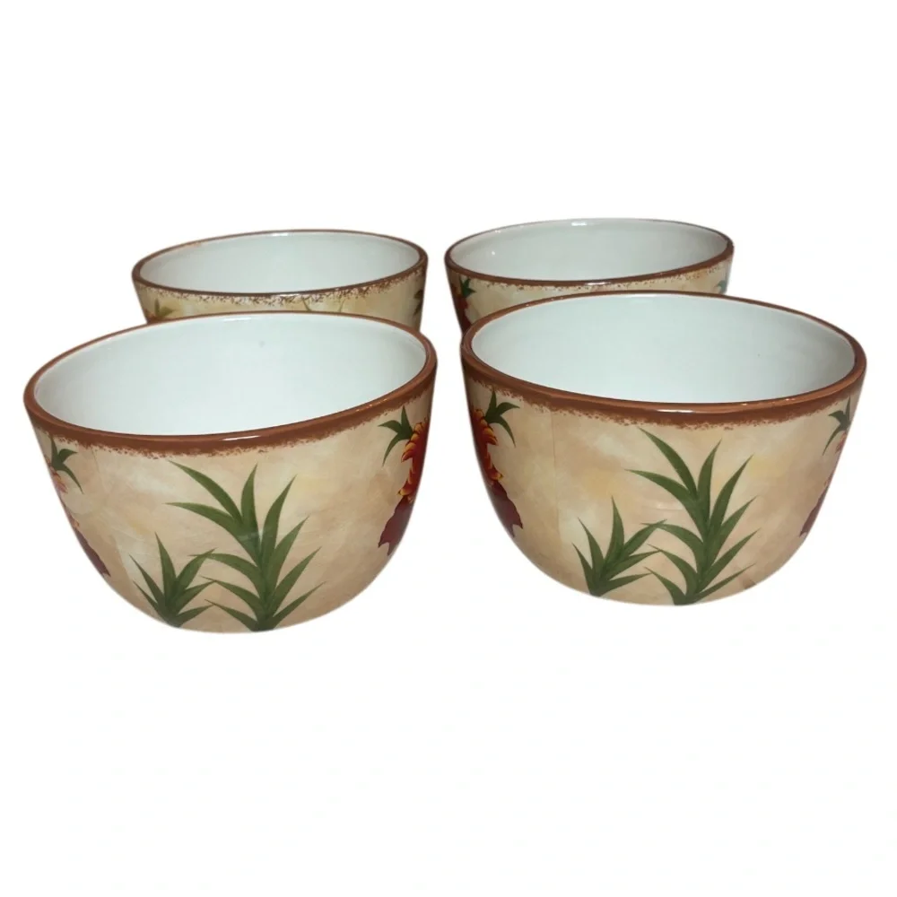 Pier 1 Poppies Bowls 6” Soup / Cereal Bowl Hand Painted Earthenware 4 Pc Set Red